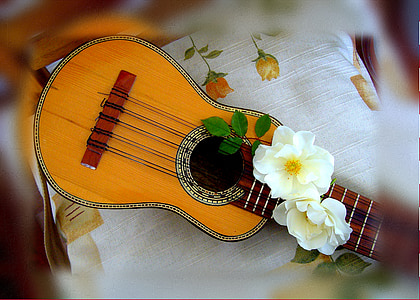 white flowers on brown stringed instrument