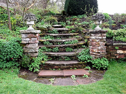 brown concrete staircase with green leaves