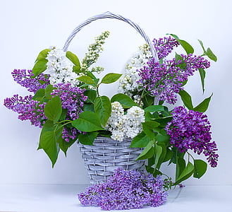 purple and white petaled flower arrangement with white wicker basket