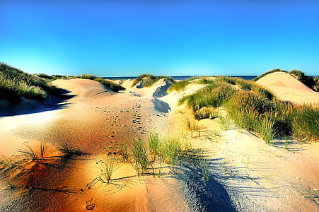 dune sand