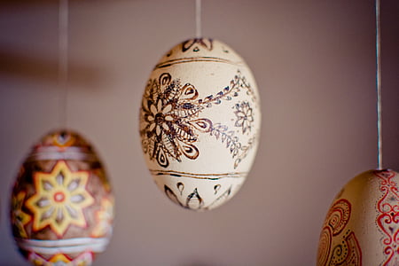 oval white and brown egg display