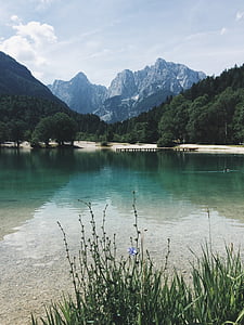 body of water surrounded by trees near mountain range