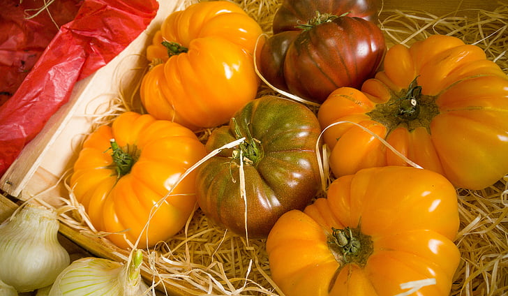six assorted-color pumpkins