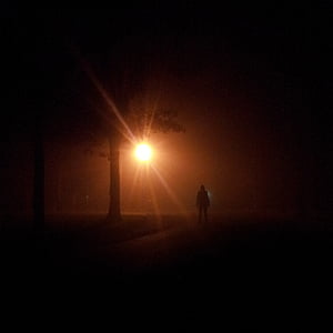 silhouette of person standing under leaf trees at nighttime