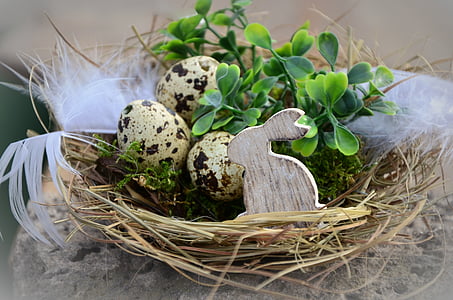 three quail eggs in brown nest