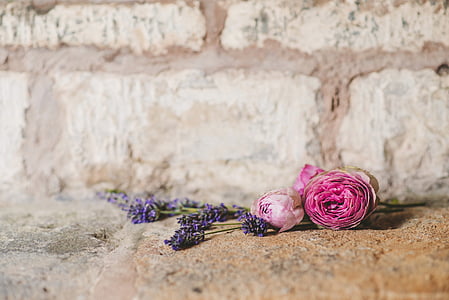 lilacs and pink roses placed on red bricked shelf