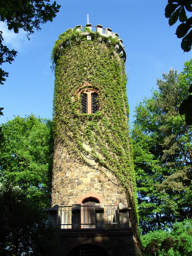 brown concrete tower building surrounded by trees