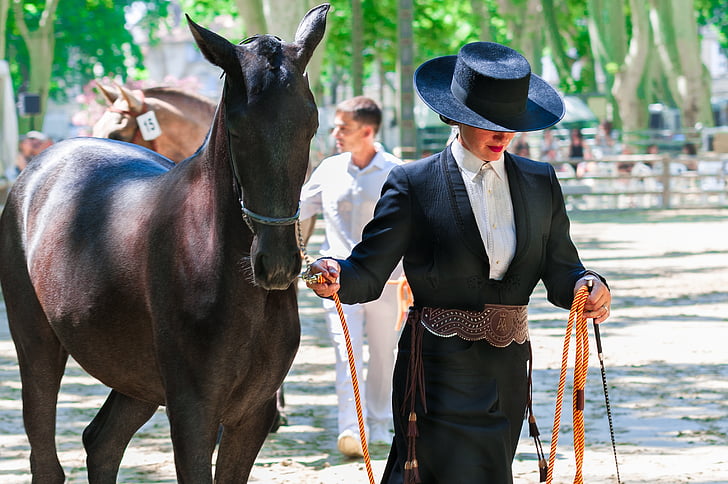 woman standing beside brown horse
