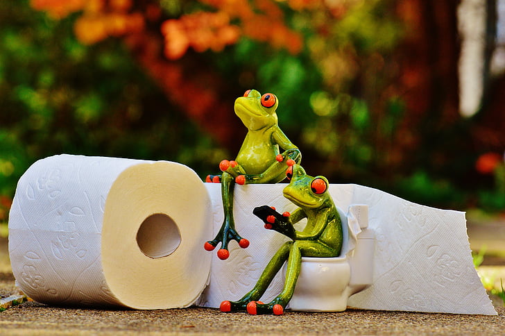 two tree frog figurines beside two white toilet papers