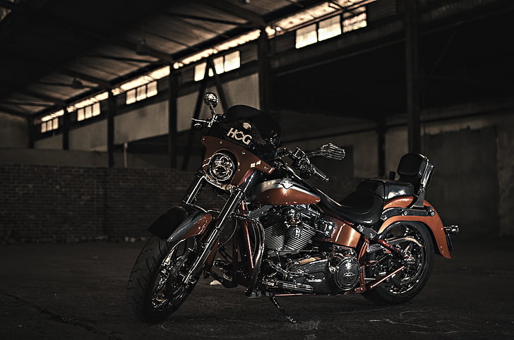 brown and black cruzer motorcycle