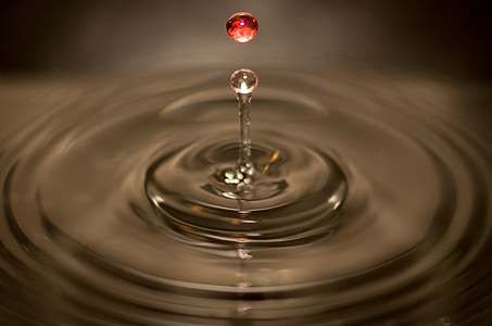 macro photography of droplet