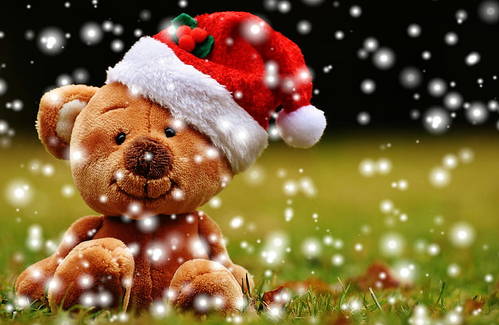 photo of brown teddy bear wearing Santa hat sitting on grass