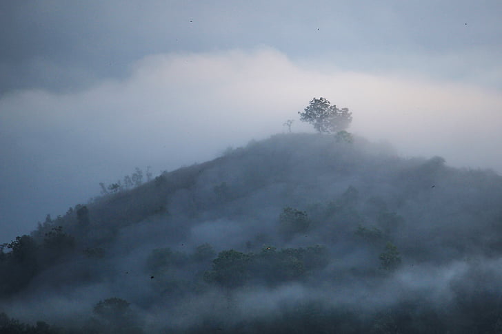 smoky mountain during daytime