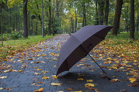 gray umbrella under the trees