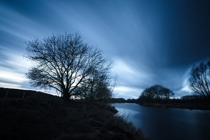 silhouette photo of bare trees near body of water