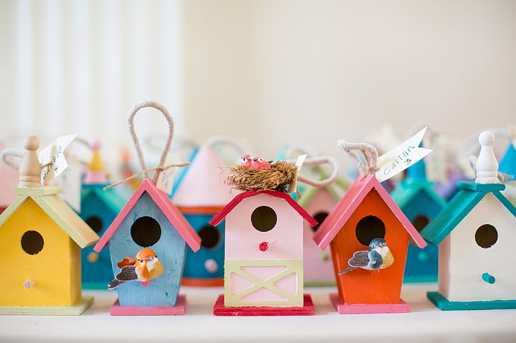 assorted-color wooden birdhouses