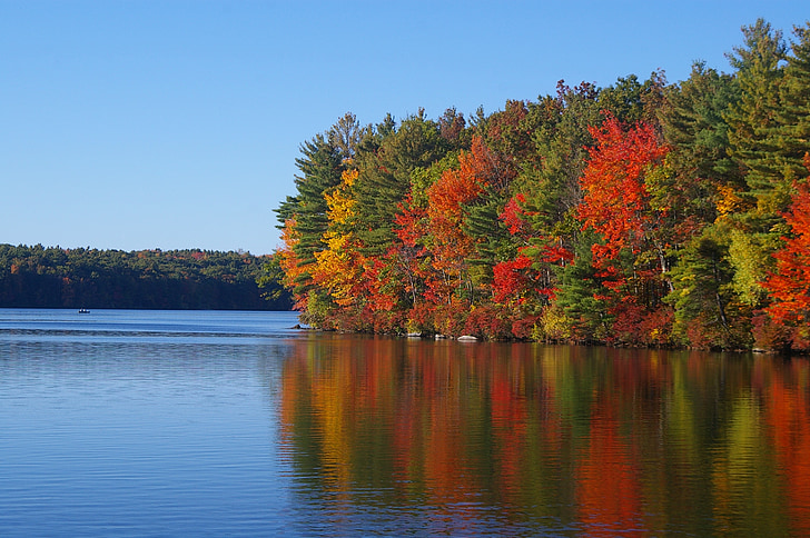 body of water near green and red leaf trees