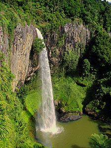 waterfalls surrounded by trees and plants at daytime