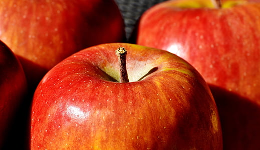 four red apple closeup photo