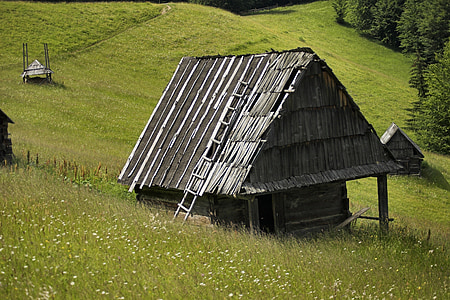 gray nipa hut surrounded by green grass