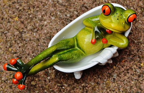 red eyed tree frog toy