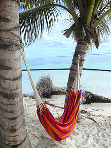 multicolored hammock in the middle of two trees