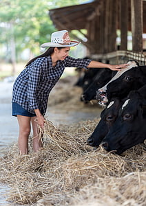 woman standing in front of black cows