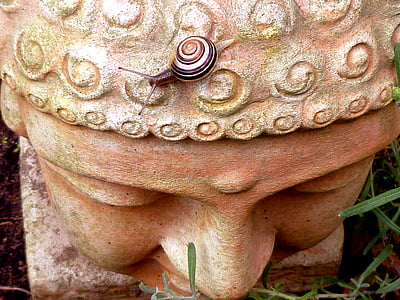 brown snail on top of Gautama Buddha bust