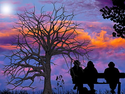 brown bare tree and silhouette of three person sitting on bench