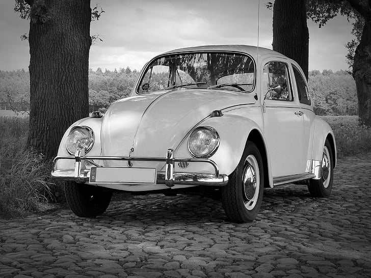 white Volkswagen Beetle