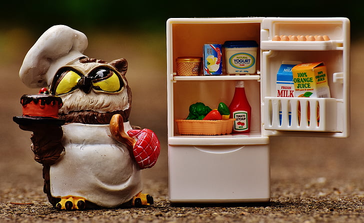brown owl chef figurine near white plastic refrigerator toy