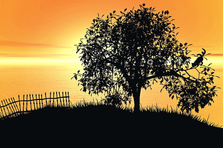 silhouette photo of tree