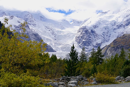 photo of mountain and forest