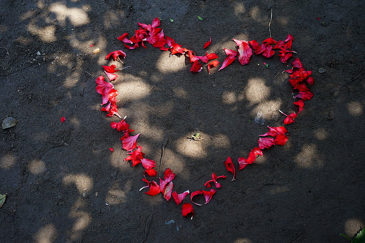 high angle photo of red petals forming heart shape on ground