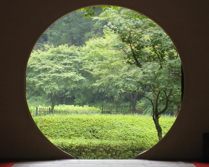 trees and bushes outside room with round door