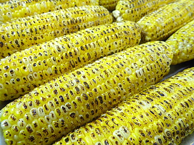 closeup photo of corns
