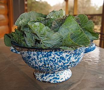 green vegetables on blue and white steel bowl