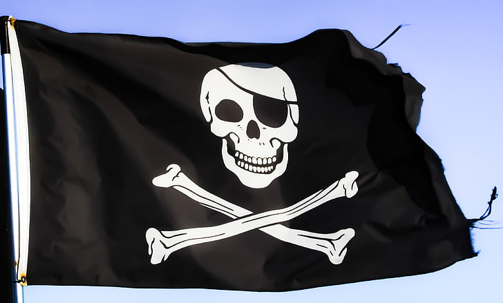 closeup photo of black and white pirate flag