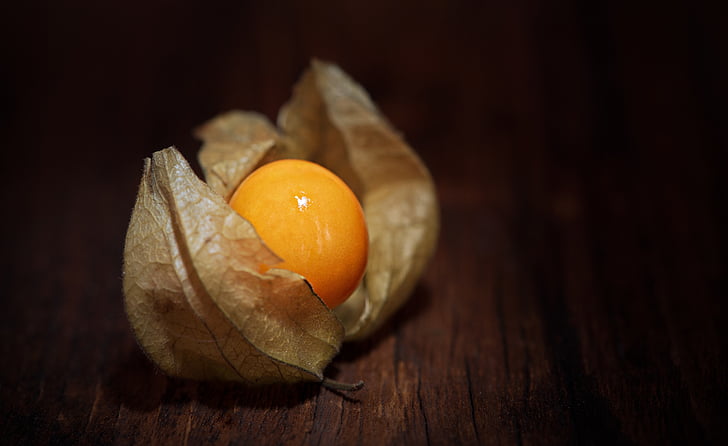vignette photography of physalis on brown panel