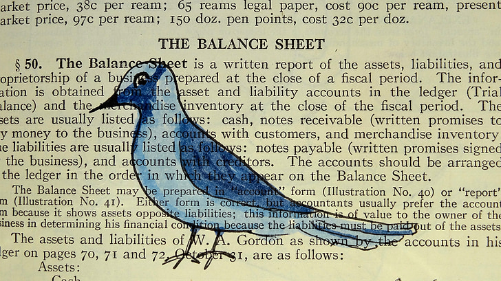 The Balance Sheet text