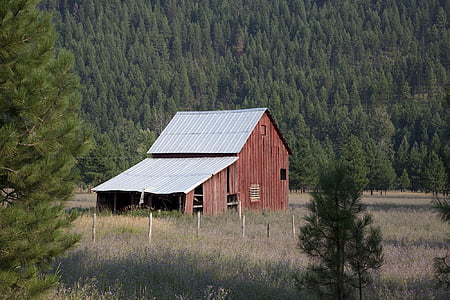 white and red shed during daytime
