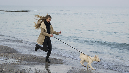 woman holding dog's leash near seashore