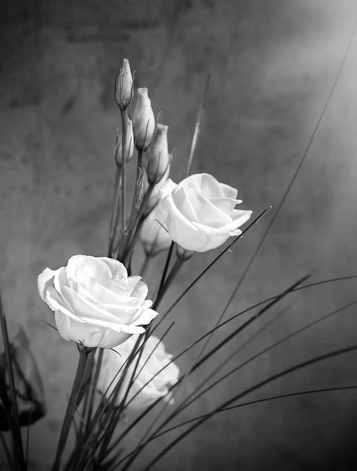 grayscale roses poster