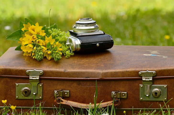 black and gray camera near yellow petaled flower on brown briefcase