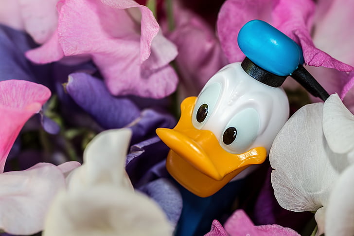 Donald Duck figurine