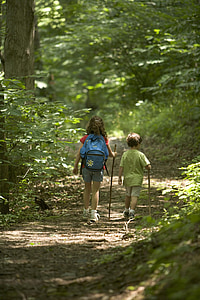 girl and boy walking in forest during daytime