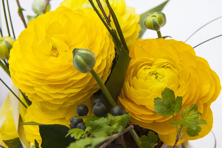 close up photography of yellow ranunculus flowers