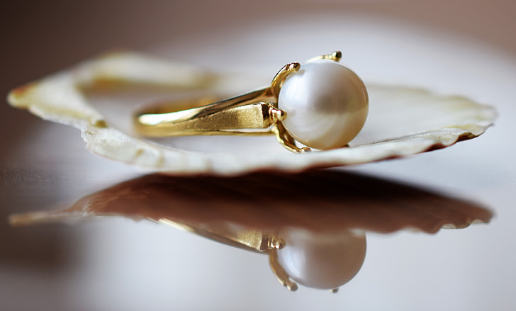 gold-colored ring with white pearl on a shell
