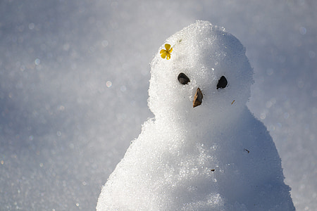 shallow focus photography of snowman