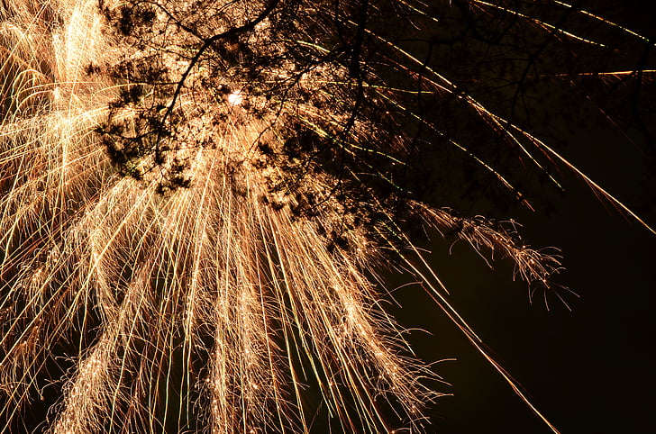 silhouette of tree branch under fireworks at nighttime